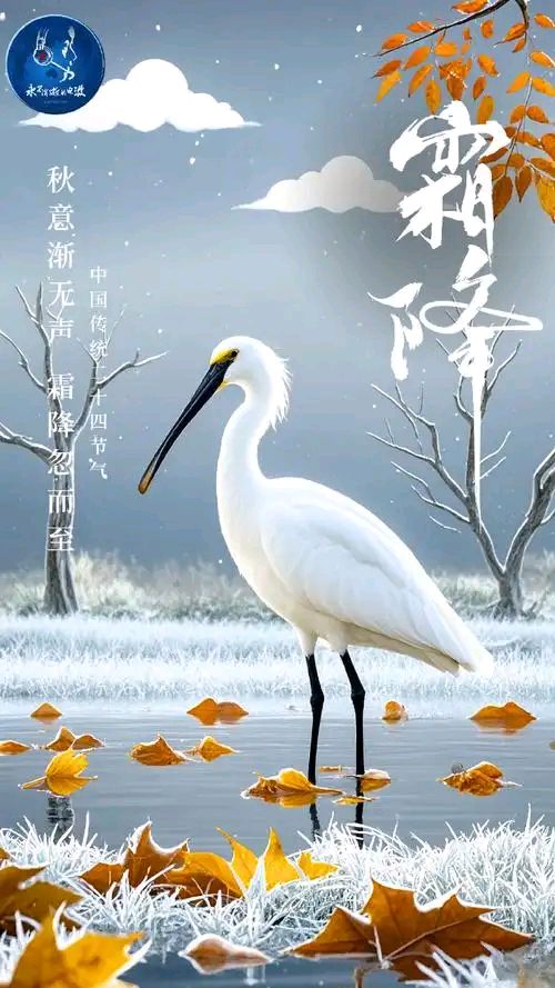霜降||巴彦诗协【1256】（图7）