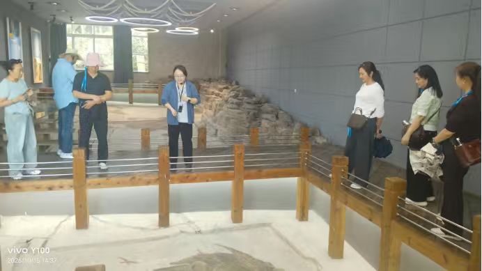 【三苏文学】《横竖都是世界第一--走近花江峡谷大桥》四川青神唐小虎老师的佳作(图3)