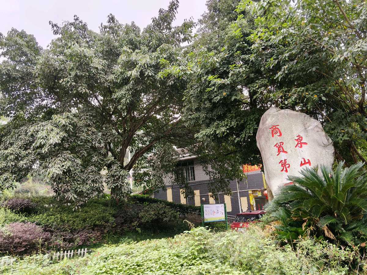 【三苏文学】《吃鸡蛋的烦恼》四川青神林中鸟老师的佳作(图7)