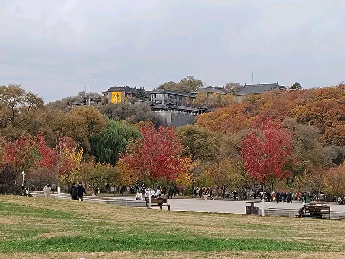 新诗十首作者王维宪（吉林）编辑孙秀兰20261025（图3）