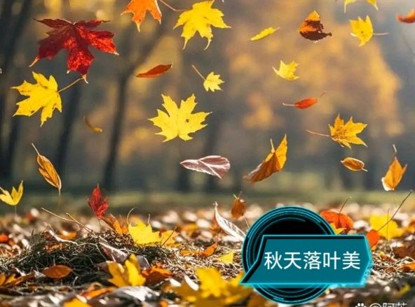 新诗十首作者王维宪（吉林）编辑孙秀兰20261025（图5）