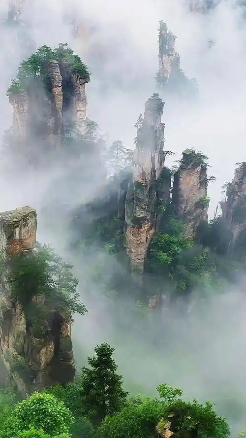 重庆《水调歌头·游张家界》Ⅱ逸风文苑~北京头条（图3）