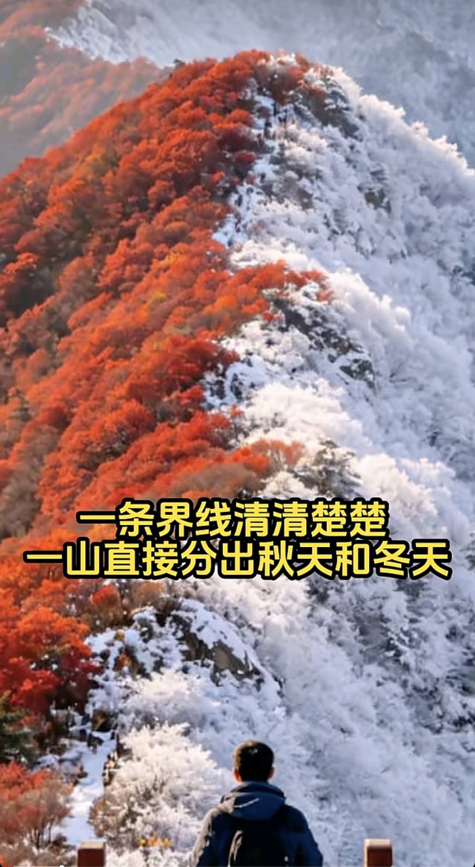 【首都版】沁园春·一山分秋冬 词/青青芳草（图4）