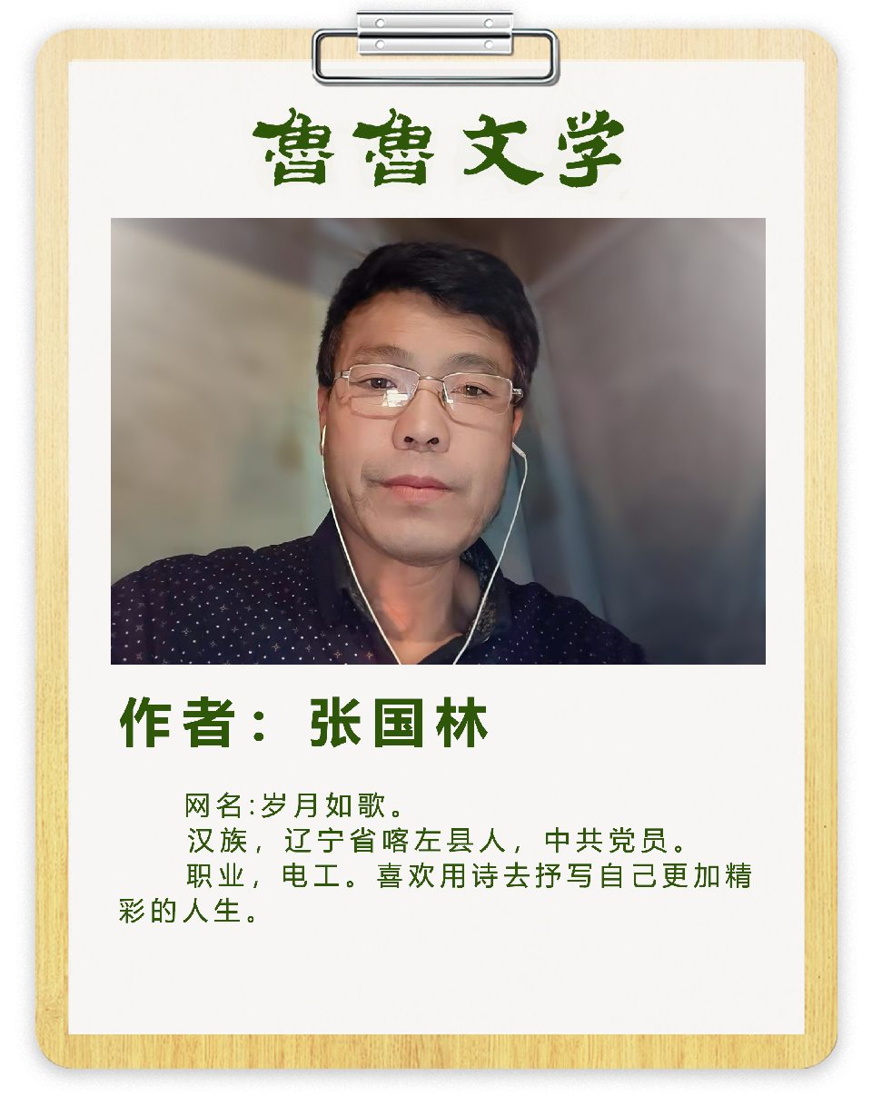作者张国林