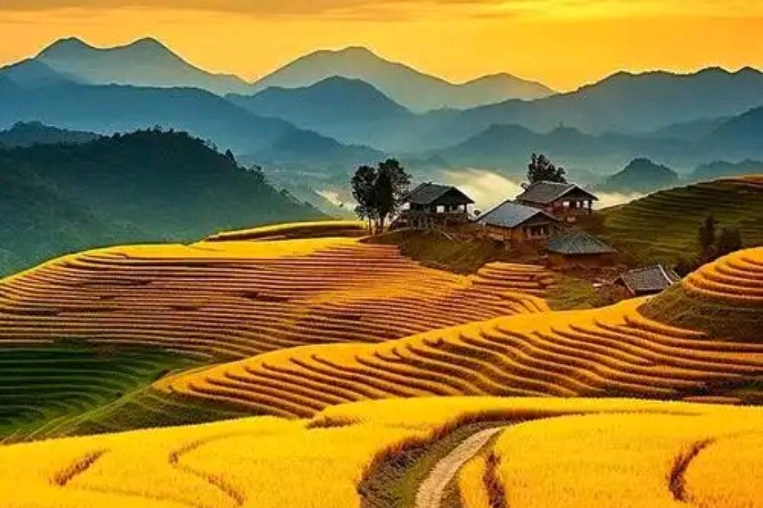 【中国字话】兰子分享《秋光无限度重阳》文/溪流//制作/田爽【第2770期】（图7）