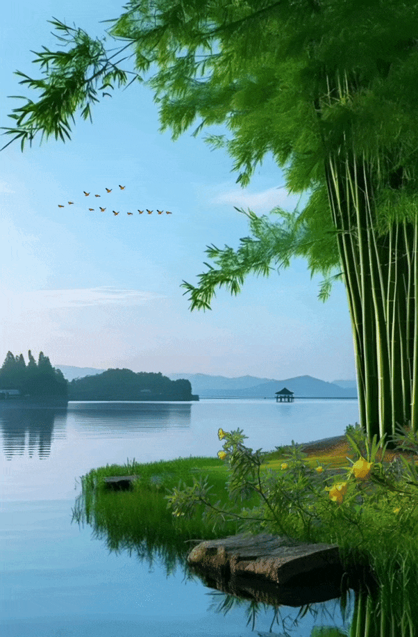 [中华诗艺社]洞庭寻幽·归乡 叙情/作者：张根新/总第3409期