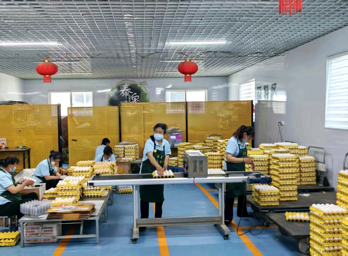 《泰泉的玫瑰》：田间女工，于烟火劳作中跳出生活光芒（图5）