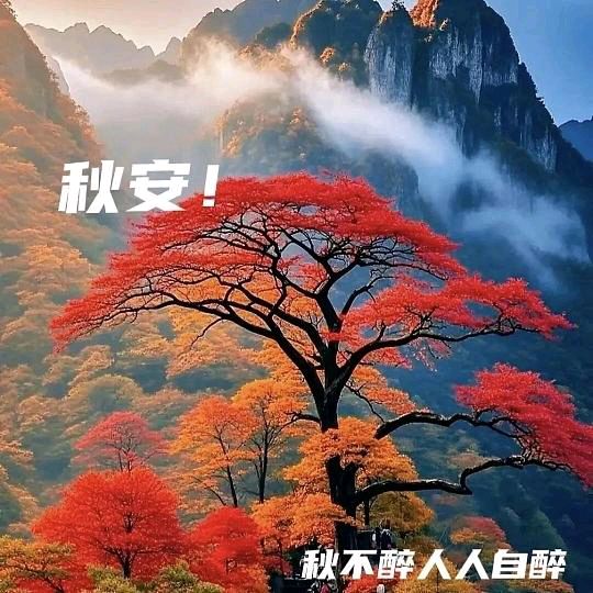 【云天诗馆*古诗词】活稳，洗尽铅华也无愁（图3）