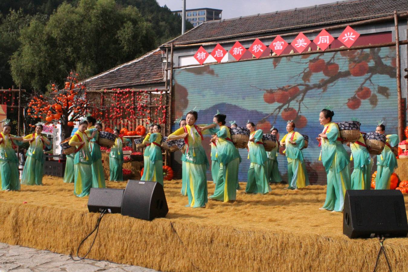 红柿满山野 古村焕新颜——临朐五井镇第九届柿文化旅游季精彩启幕(图3)