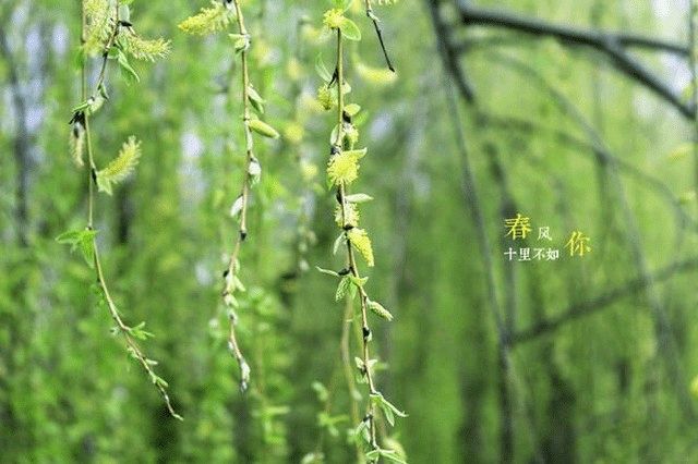 聆听 ‖ 王敬荣朗诵《当文字遇见声音的时候……》作者/蓝野（图6）