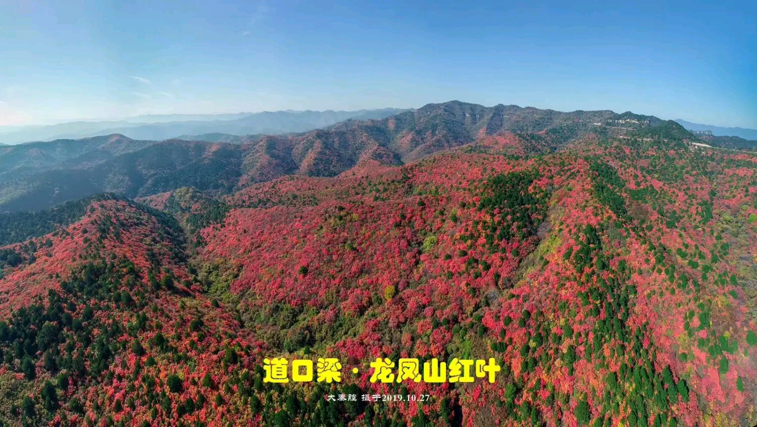 陕西张志民《红叶原是大地的母亲》（图7）