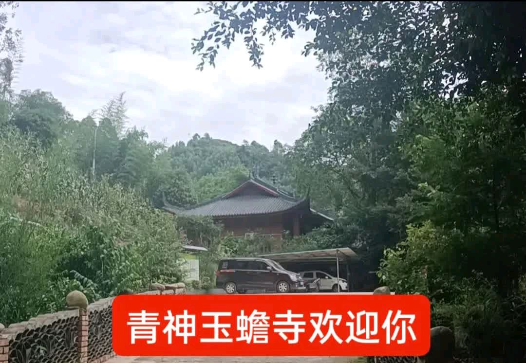 【三苏文学】《壮美天府行--众歌廿一市州(12)泸州 酒城江城》四川青神曾顺和老师的佳作(图10)