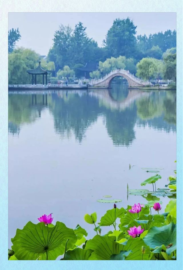 【词诗鉴赏】丙午2026年金秋金晶（懿子）老师格律诗作品个人专辑组诗30首*北京头条.西安头条.都市头条发布！（图9）