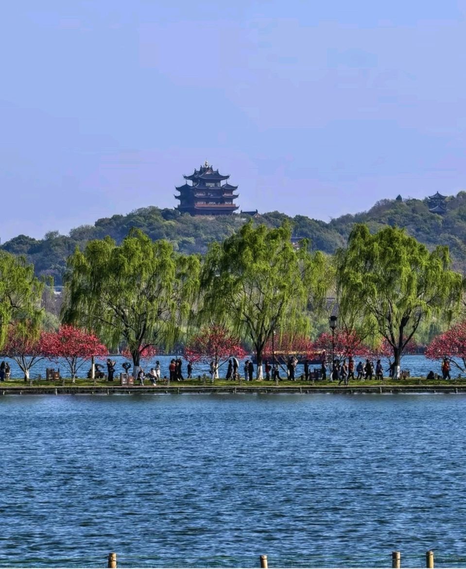 【词诗鉴赏】丙午2026年金秋金晶（懿子）老师格律诗作品个人专辑组诗30首*北京头条.西安头条.都市头条发布！（图14）