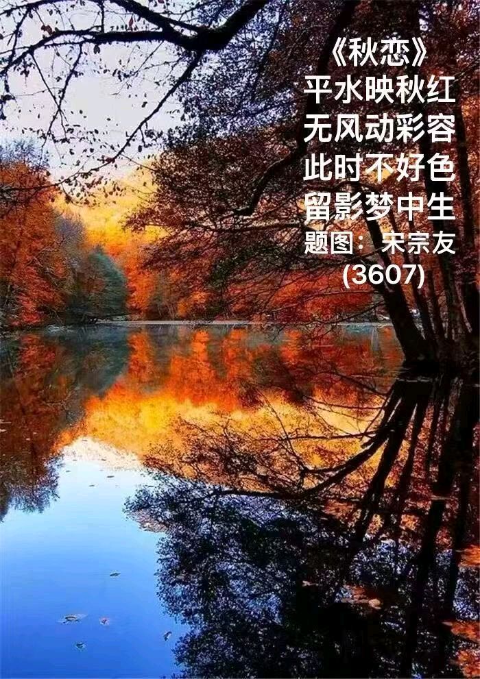 题图诗3631《今日大西北》作者宋宗友（吉林）编辑孙秀兰20261026（图25）