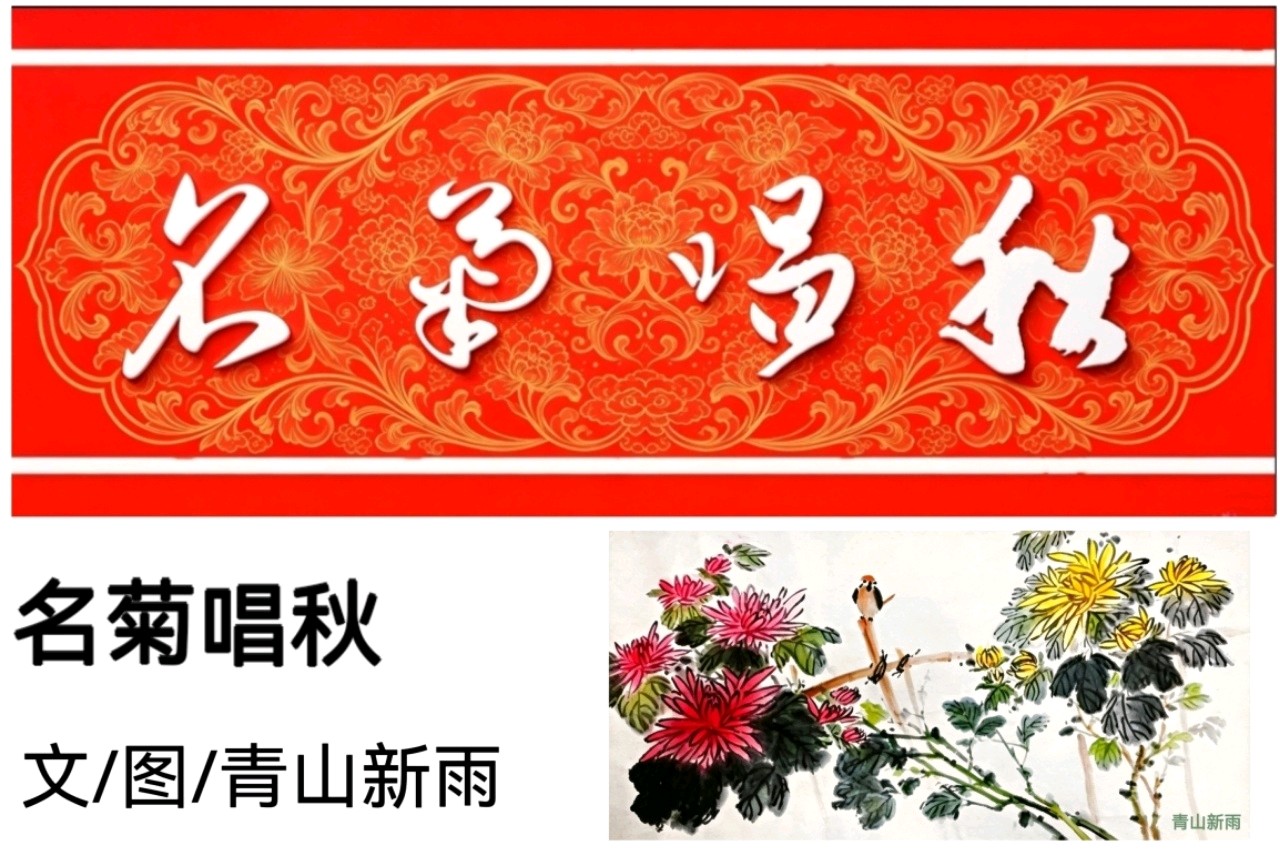 《名菊唱秋》文/图/青山新雨（图3）