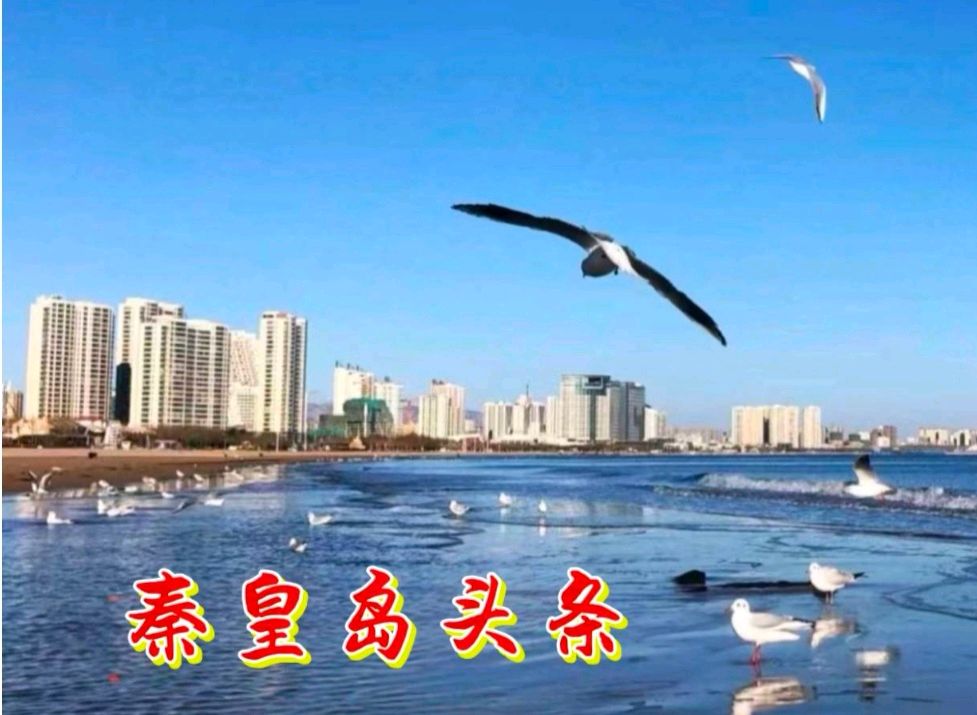 《秦皇中医》创兴赋 作者:屈维英、范怀良 主播:平和(图2)