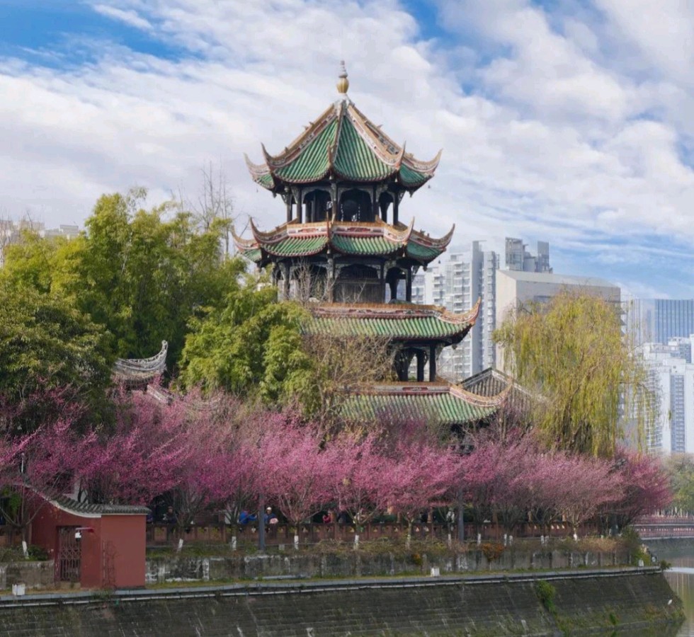 【纪实散文】《我做人做事的三个习惯》 作者: 张小平/四川成都（图6）