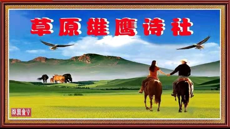 草原雄鹰诗社2026笫39期周刊作品展播《组诗词》作者/草原雄鹰诗社诗人