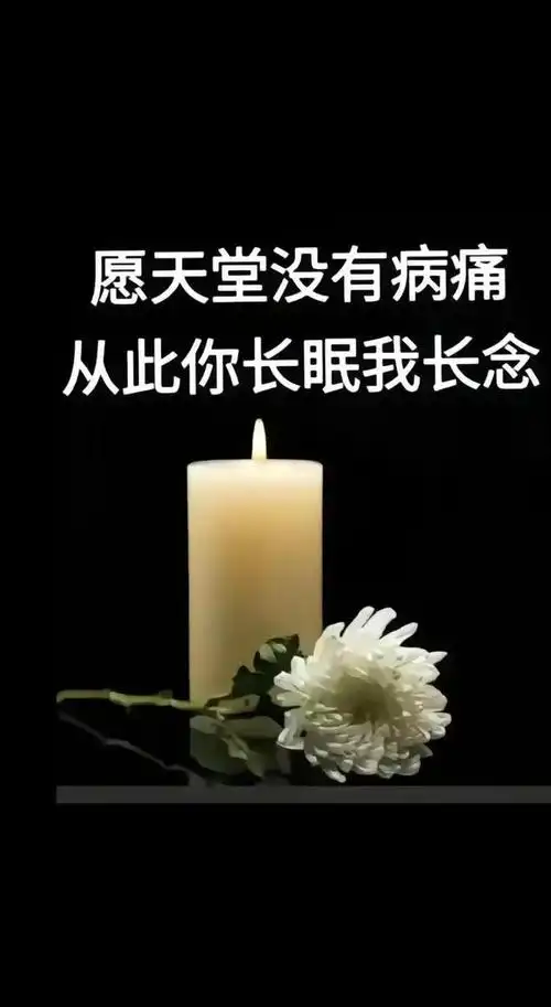 祭六哥【九存敬词】