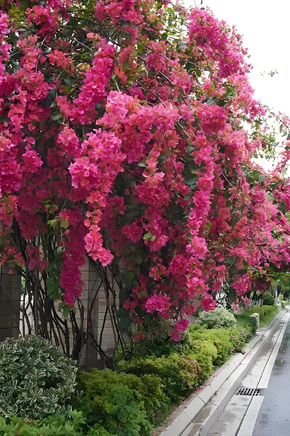 岭南诗联社(第1603期)格律诗词专辑(择优刊发)
