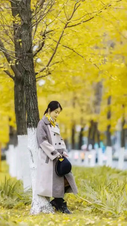 中华红旗国际诗社~北京头条~晚秋之恋:作者 / 宏翔:朗诵 / 凯哥(图8)