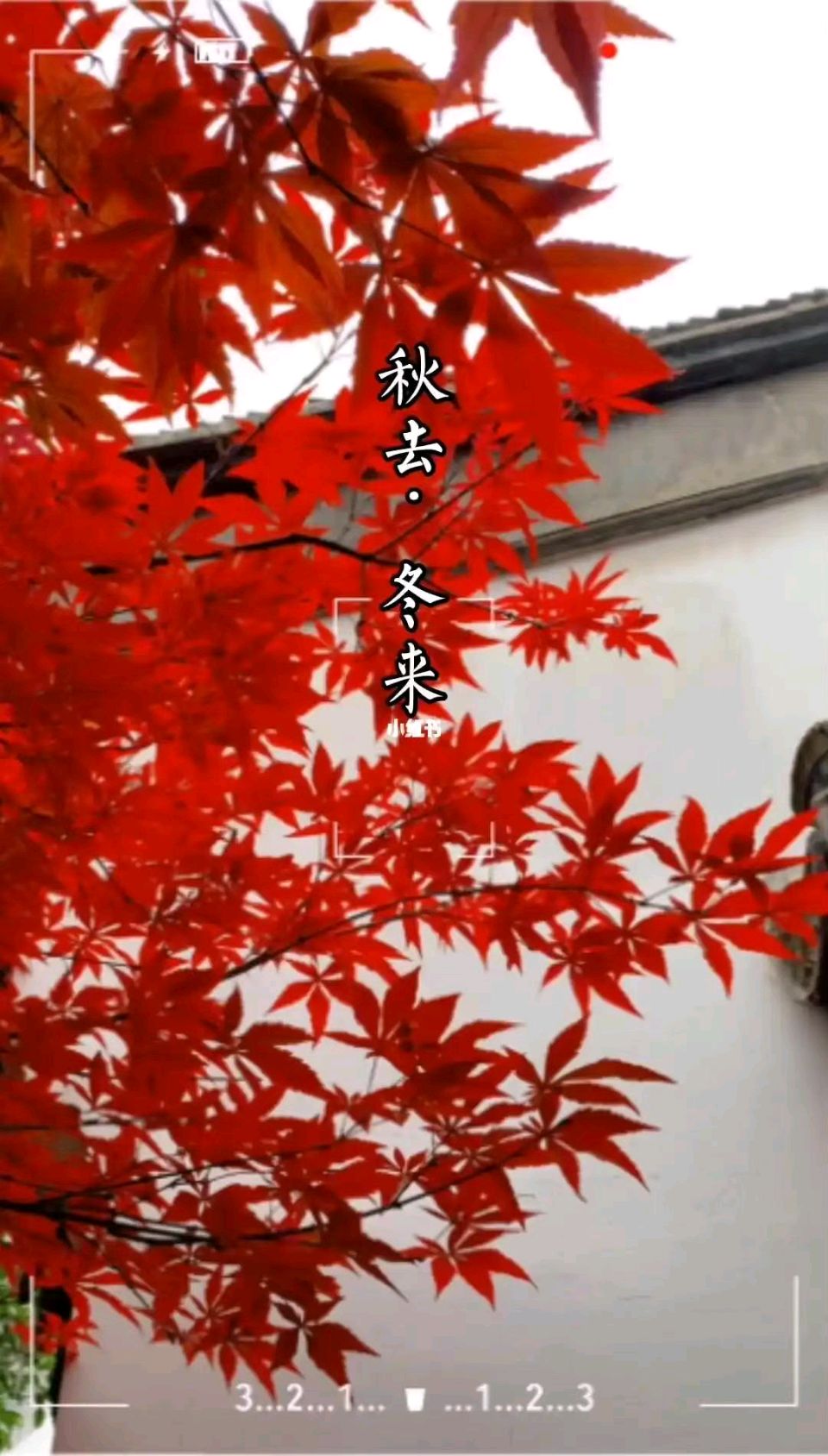 中华红旗国际诗社~北京头条~晚秋之恋:作者 / 宏翔:朗诵 / 凯哥(图10)