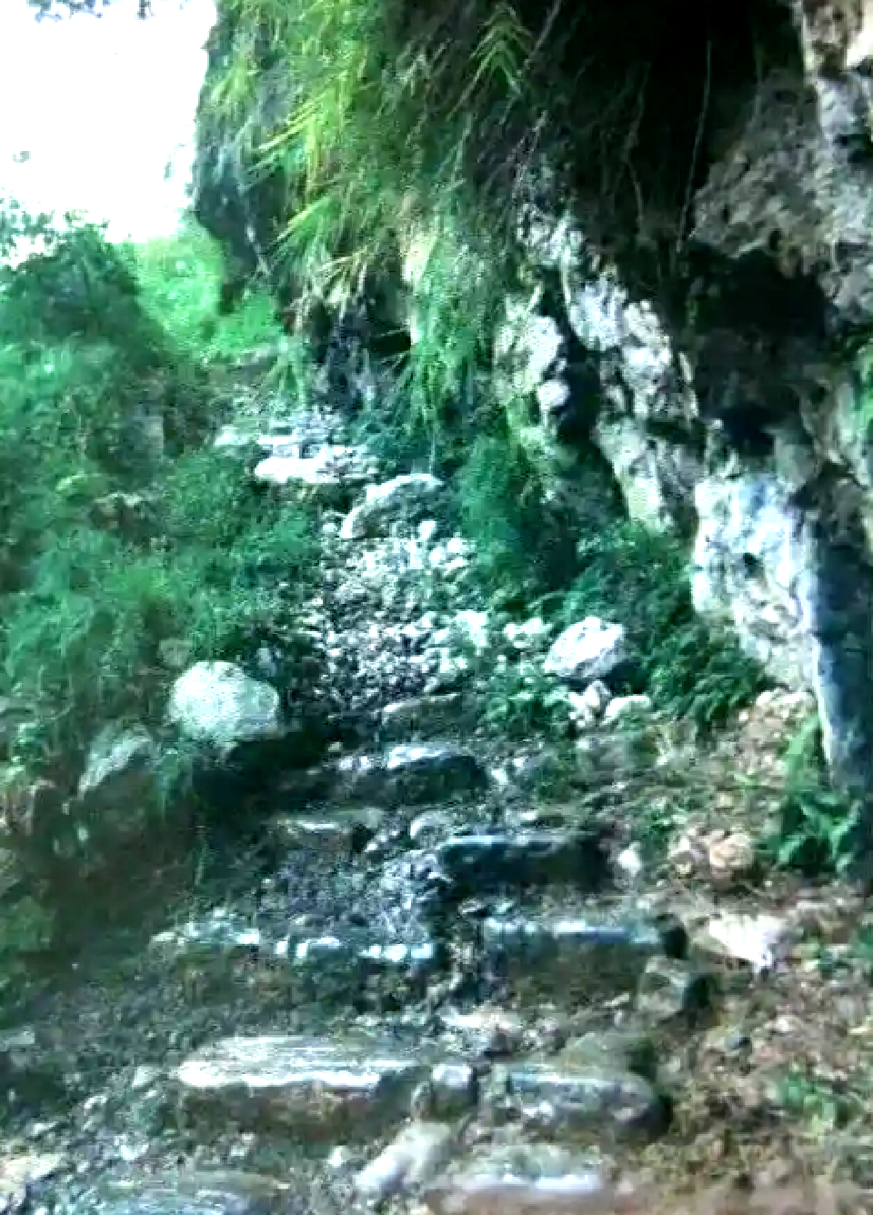 郭13 郭13