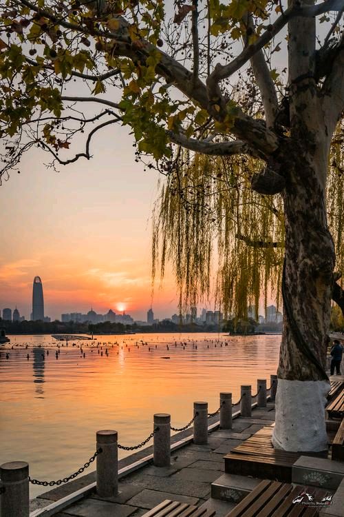 明湖落日熔金（图8）