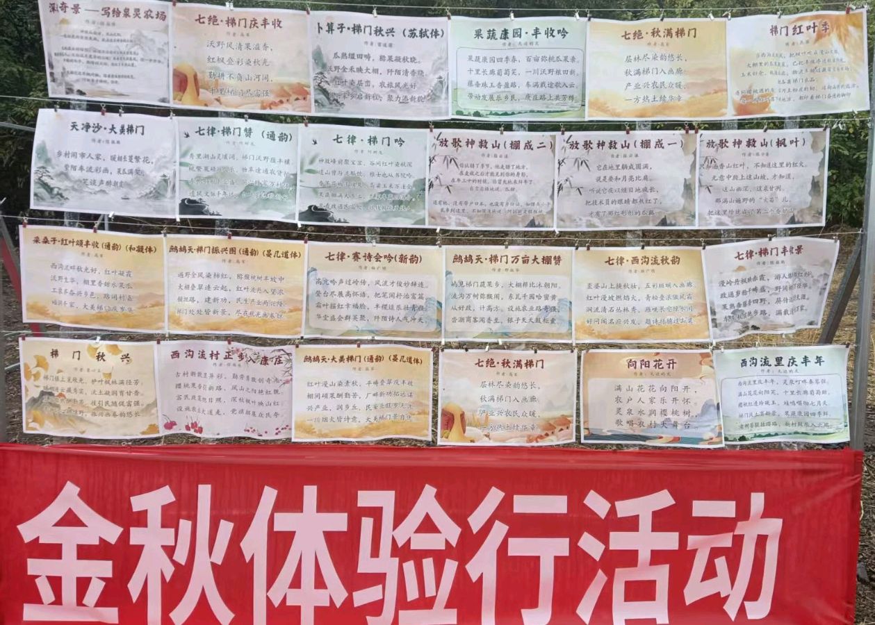 【北京头条】诗意梯门庆丰收|高军(图5)