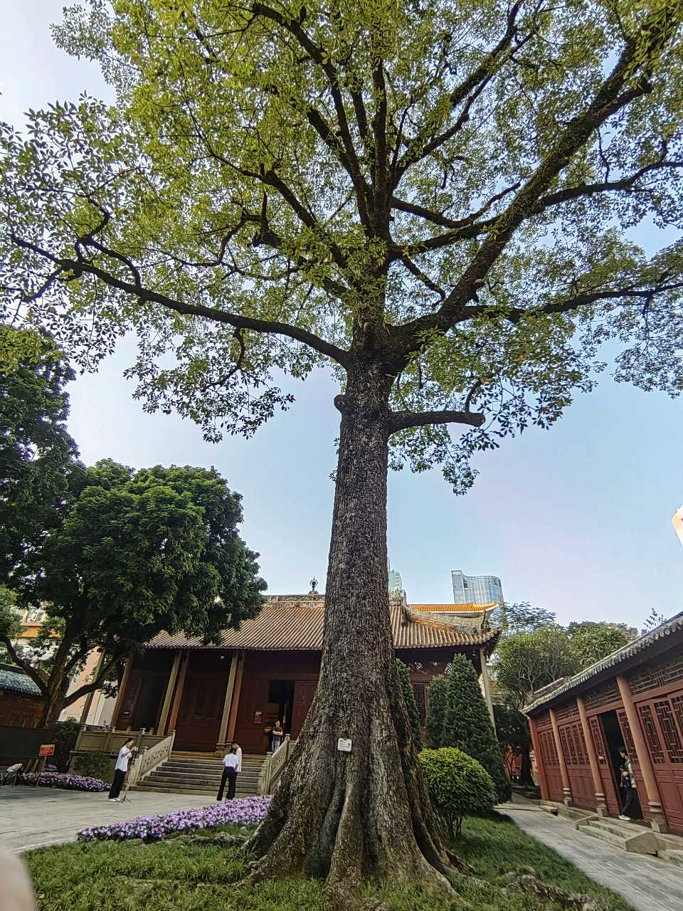 农民运动与农讲所（三首）文/江冲（图2）