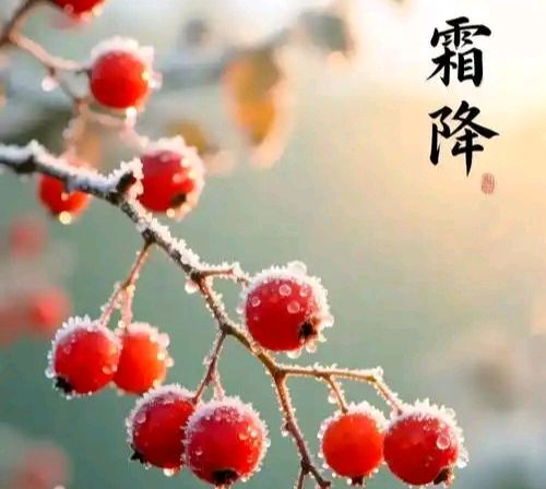 《中华好诗词》隆重推出(宁夏)著名诗人郭佑先生(第10期)《秋处露秋寒霜降》六阕敬请雅鉴(图9)