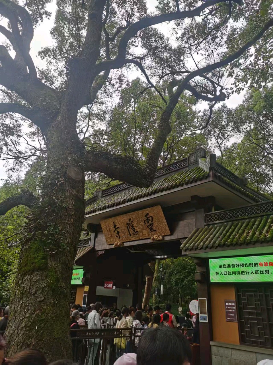 永福寺,黄墙拐个弯(散文) 陈晓明(图2)