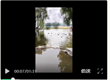 秋景的个性写就一个美字   摄影/ 配诗/李武兵