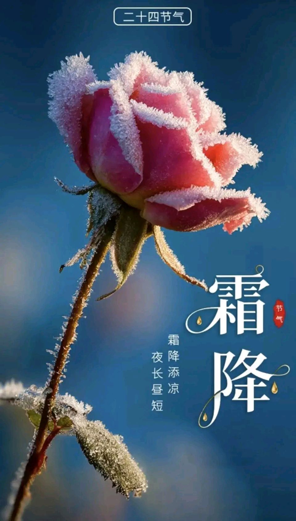 中国诗歌学会会员承德诗人李士侠《霜 降》(图3)