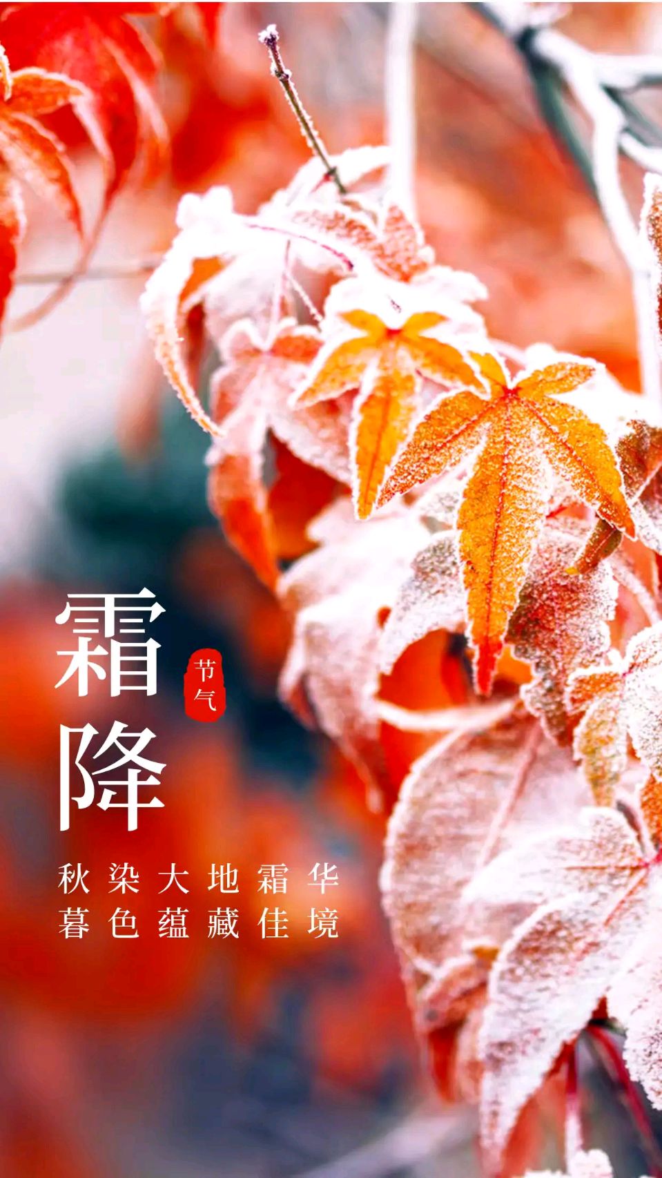 【都市头条向幸福出发编辑部】第17112期 品茶赏石小溪畔 文 如月 主播 伊萍(图2)