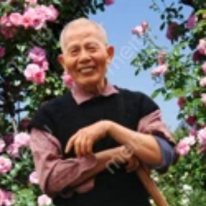 潇湘馆第739号：.成语连姓道名诗，——参谒王统照先生（图7）