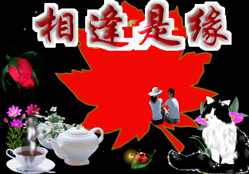 醉美的相聚——龙风文学院蓝一系诗友相聚（图3）