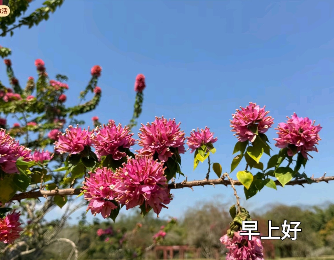 【都市头条成都文苑编辑部】主编周原翁;诗文作者何俊锋.秦牛.楊达.冯期武.曲歌.屈军强.翟功印(图4)