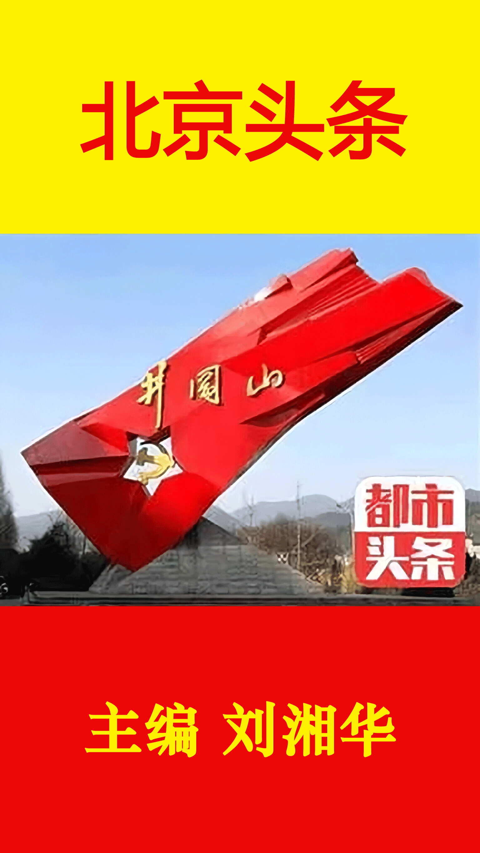 儋州灯杆三角梅~赵景阳(河北)(图3)