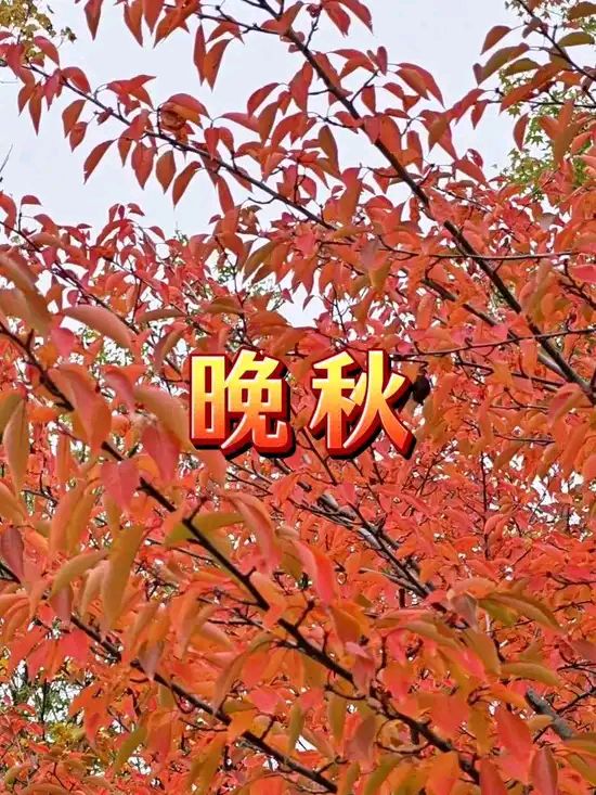 石景章老师精彩诗词联欣赏（图9）