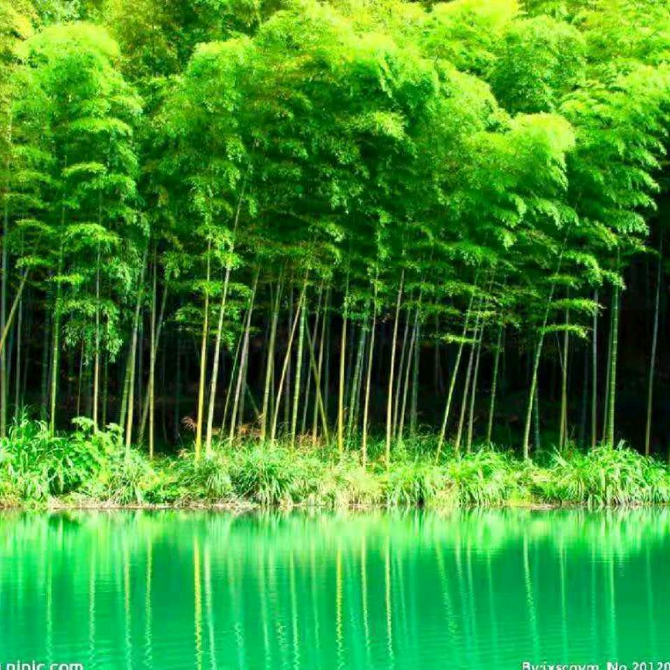 国风黑龙江诗社 高山流水专辑 纪念抗美援朝(图18)