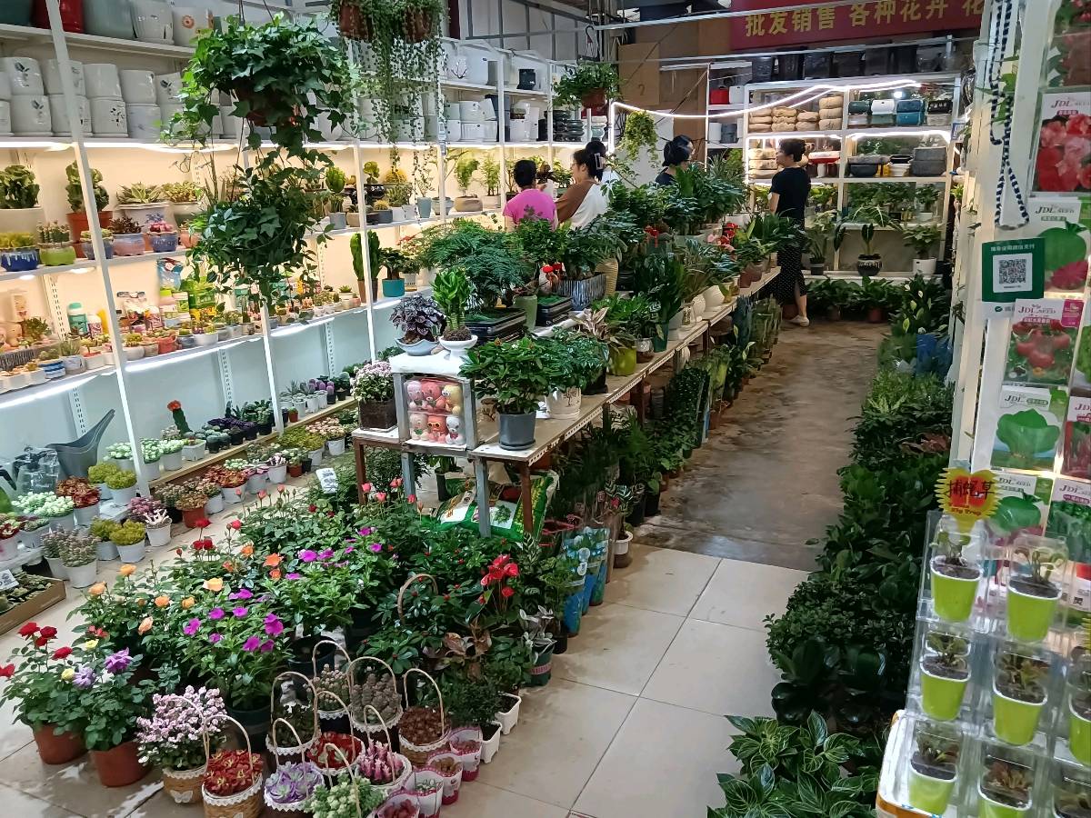 请欣赏《七律*农家小院晨曲》（外二首）作者/王楼主播 春凤/编辑 英利【中国长江文学社】有声文学平台【第20414期】（图4）
