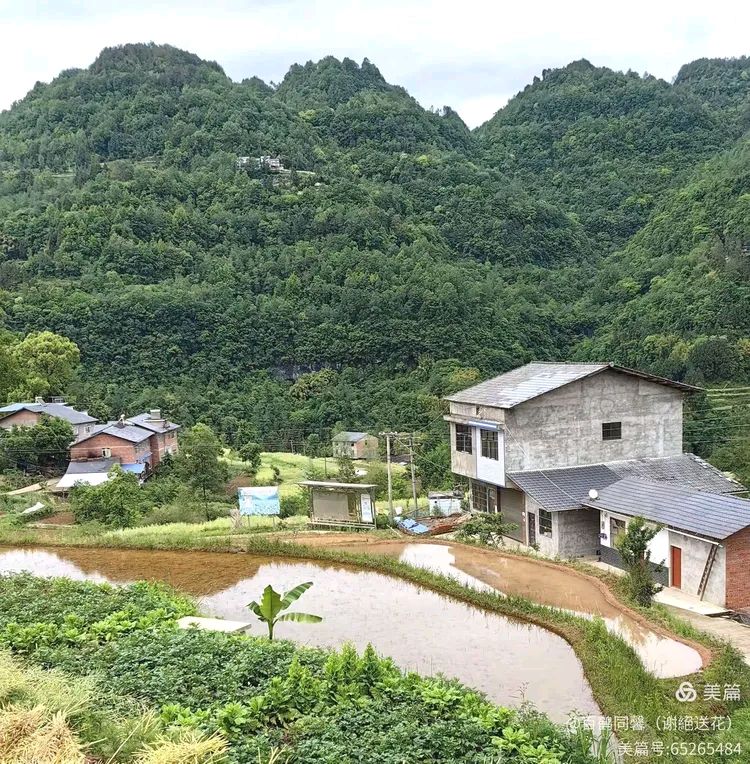 当代作家·巴山夜雨·巴浩洁 ‖①《巴山故园赋 》②《 巴山重九赋》‖北京头条068期(图4)