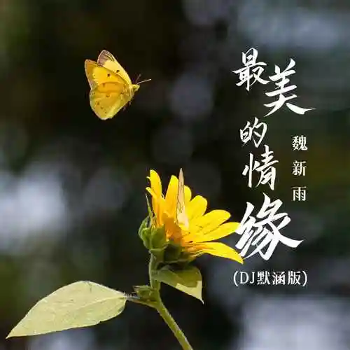 [都市头条] 一世情缘（自由体）文/韩广华 审核/王传现 文学社题字/赵义成（图8）