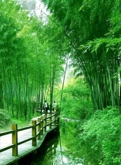 【燕赵文学】组诗：丙午重阳节——写给打工族（外七首）河北/靳延生（图3）