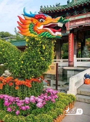 趵突流芳. 菊绘华章（图9）
