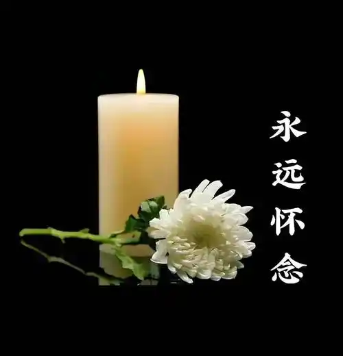 陕西作家李安民《祭刘延东同志文》（图6）