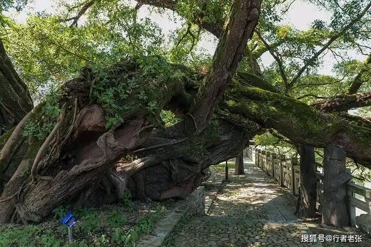 【北京头条】姜道宏诗歌专辑045期（图3）